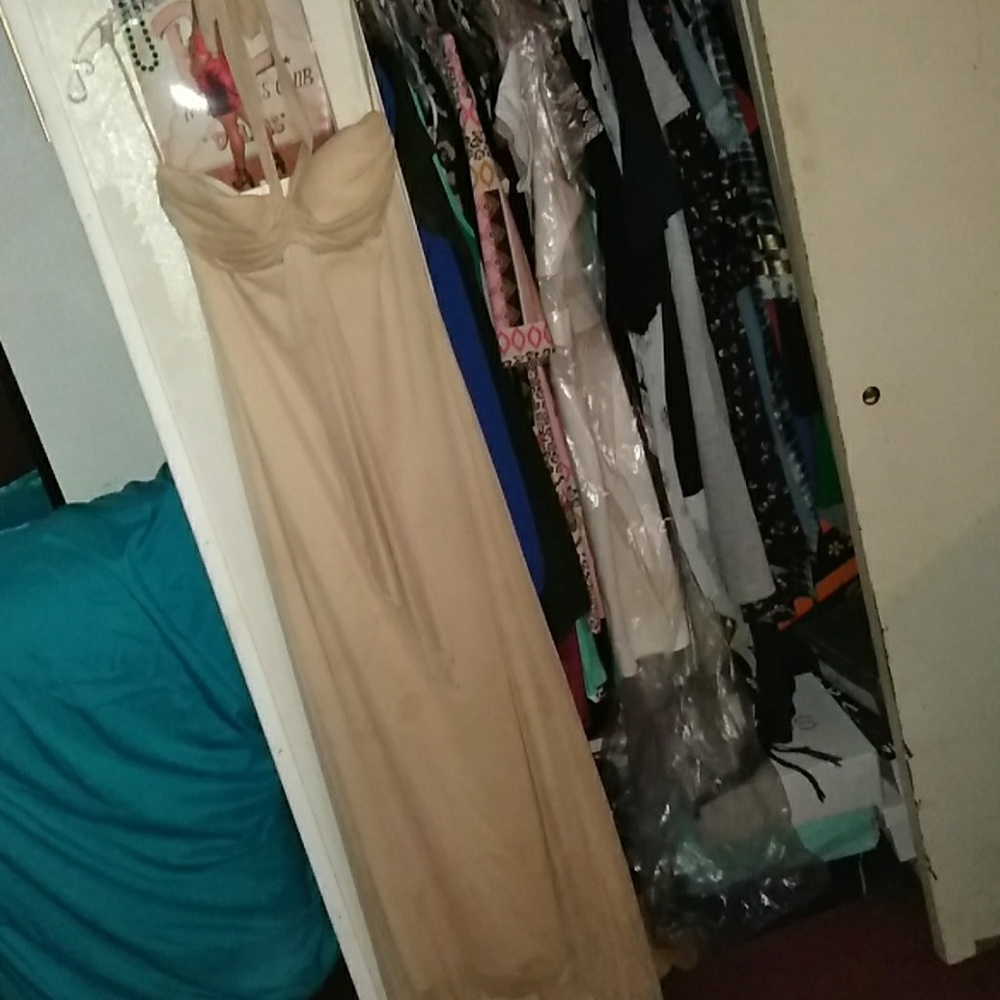 Dresses - Picture 6 of 7